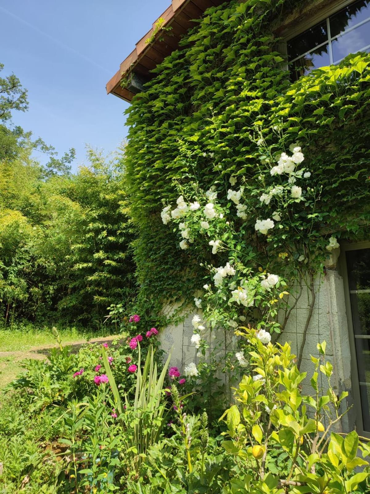 Chambre D'Hotes Le Moulin De Moulis Zewnętrze zdjęcie